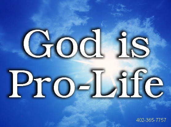 God Is Pro Life Yard Sign 18x24
